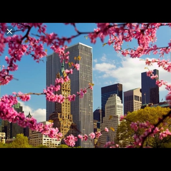 Hi I’m Lyn - Picture 5 of 8